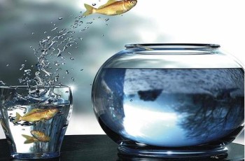 Oportunidades em Importação mesmo com dólar alto