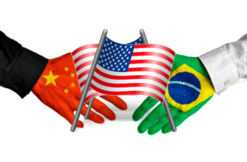 O que esperar das importações em 2019