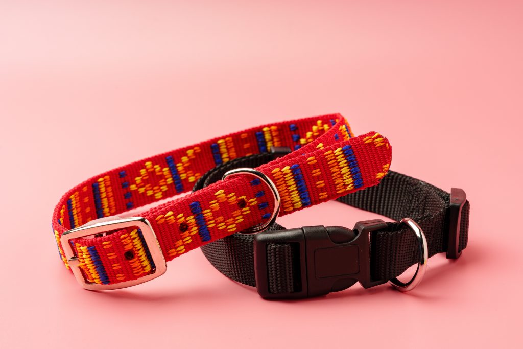 coleira pet para importação da china