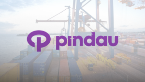 Site de importação Pindau